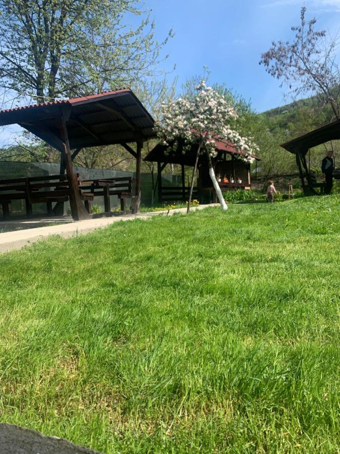 M Dey Hotel Viseu de Sus Luaran gambar