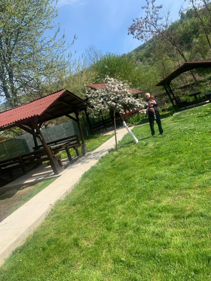 M Dey Hotel Viseu de Sus Luaran gambar