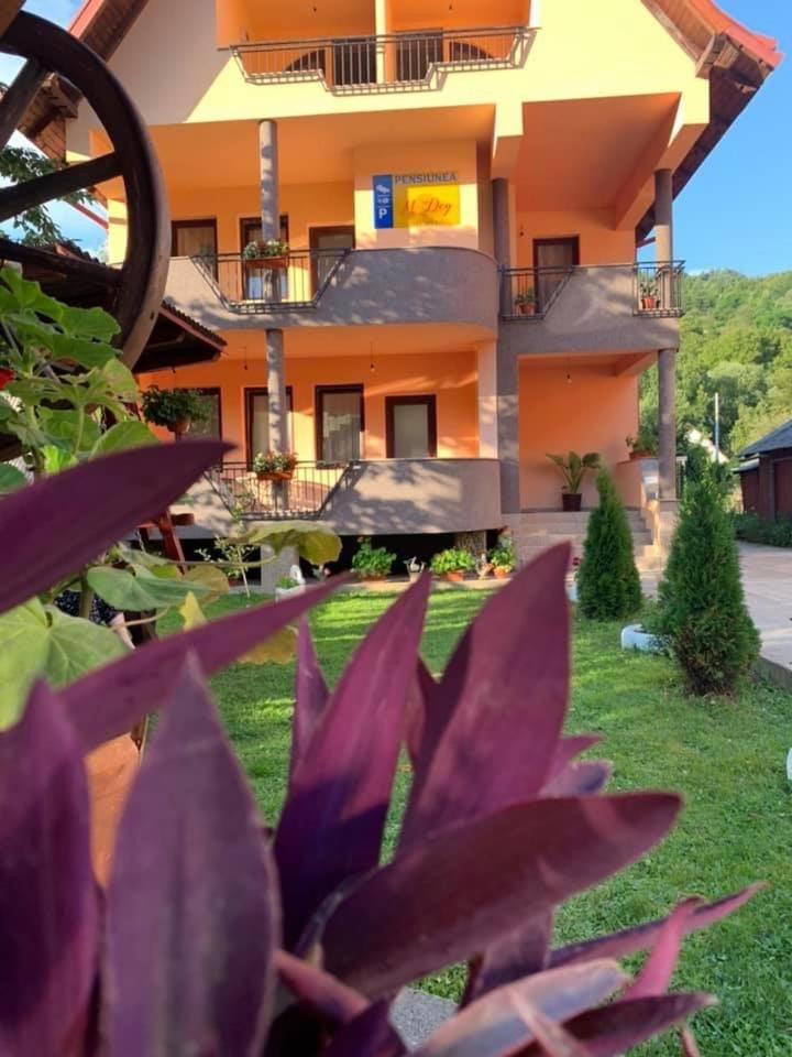 M Dey Hotel Viseu de Sus Luaran gambar